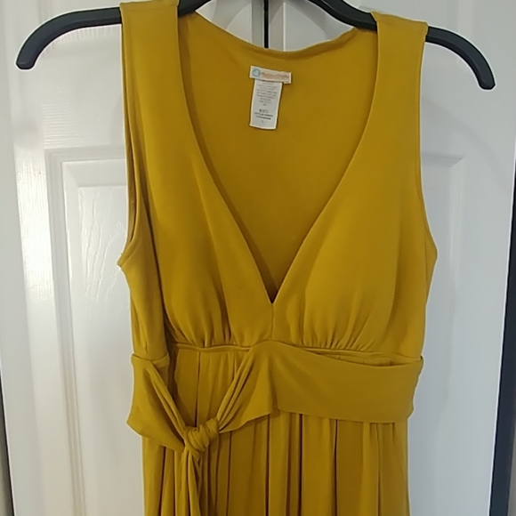 Rubber Ducky Mustard Dress - Picture 7 of 7